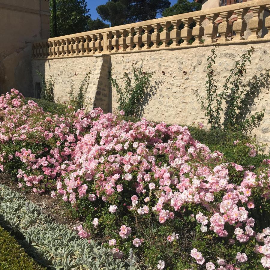 Le Pavillon D'Arnajon 호텔 Le Puy-Sainte-Réparade 외부 사진